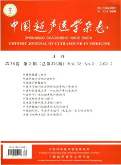 中国超声医学期刊